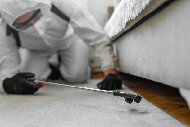 Professional Bed Bug Control technician working in Jackson County County, NC